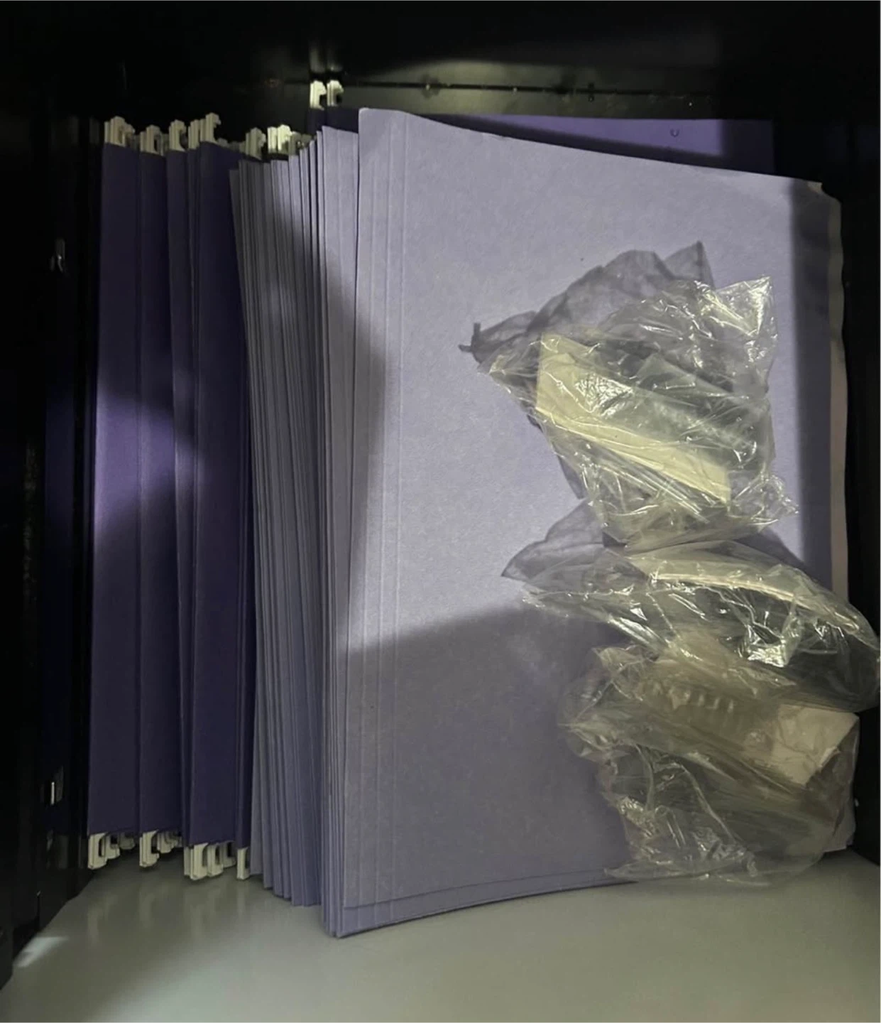 Pendaflex Letter Size Hanging File Folders