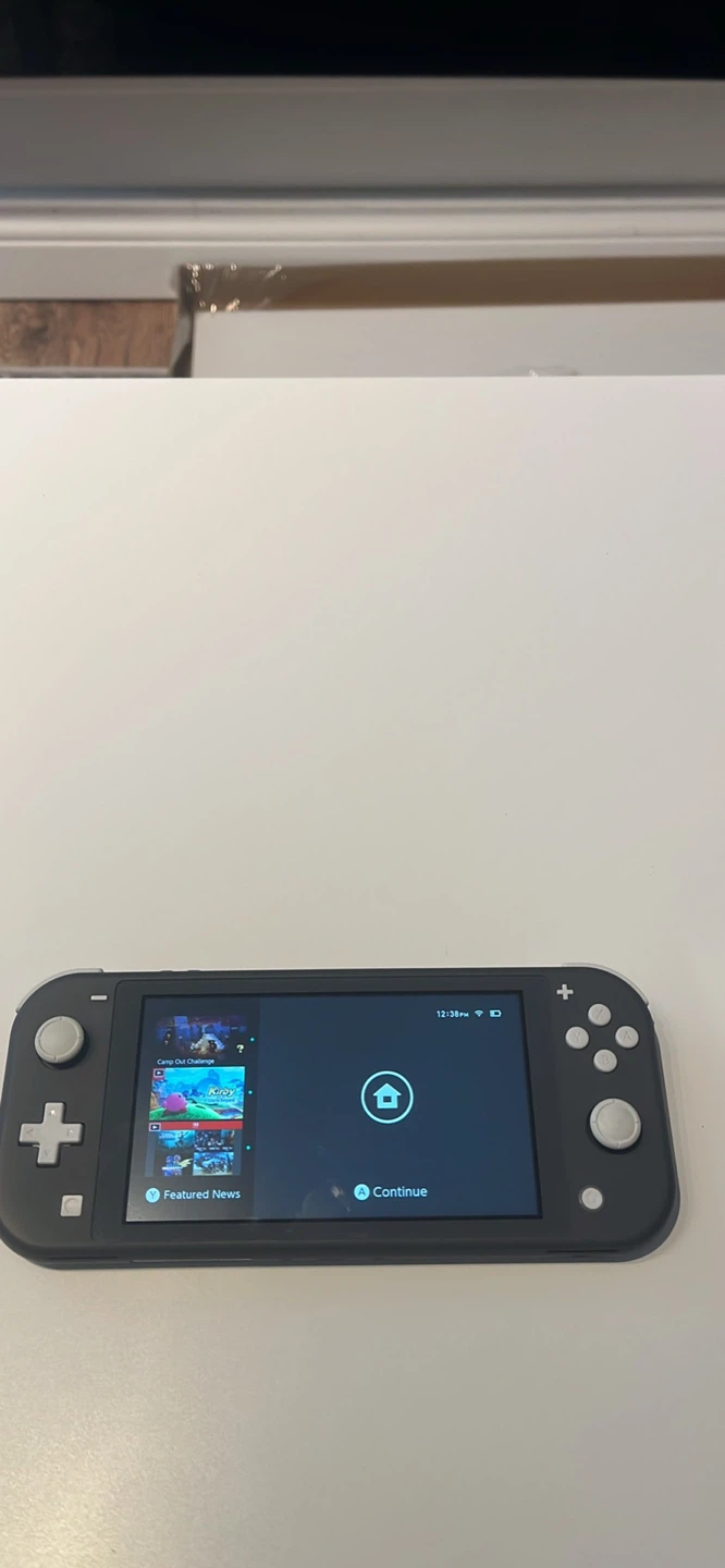 Nintendo Switch Lite Console - photo 4