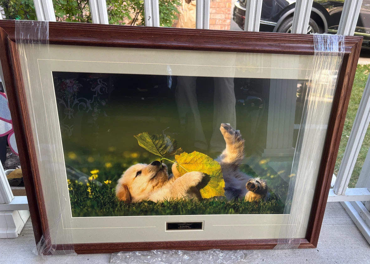 Lisa Husar’s “Golden Days” Framed Print in wooden glass frame