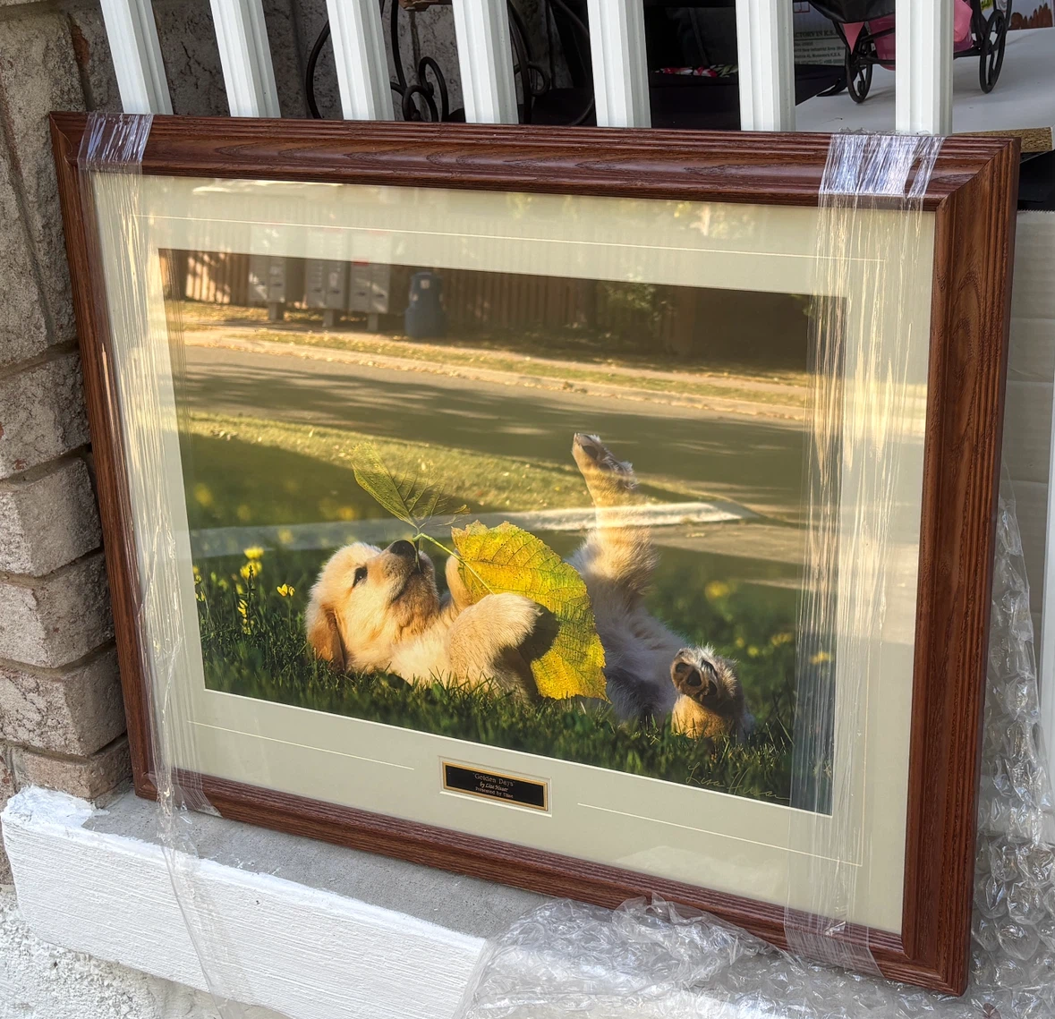 Lisa Husar’s “Golden Days” Framed Print in wooden glass frame - photo 2
