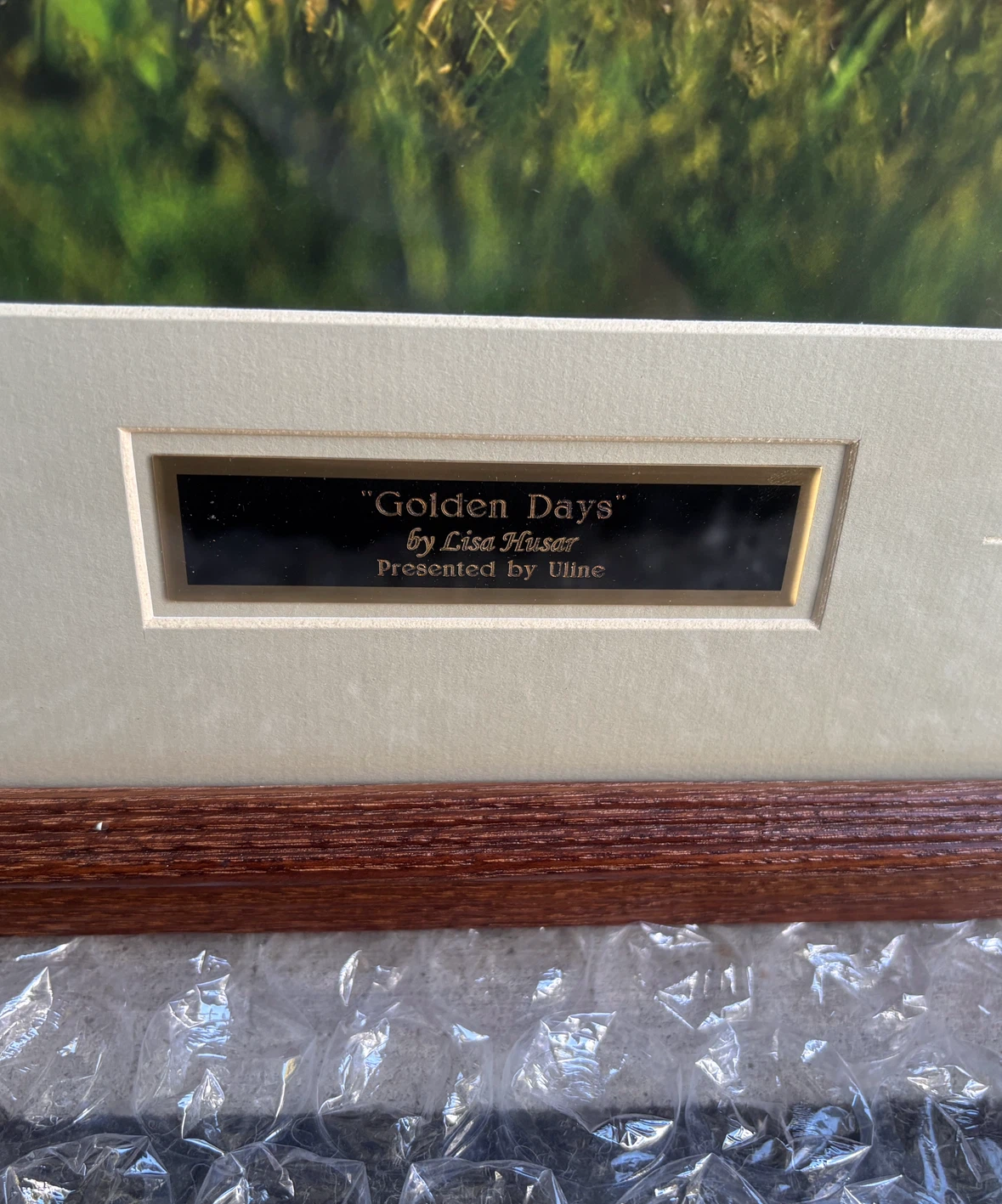 Lisa Husar’s “Golden Days” Framed Print in wooden glass frame - photo 3