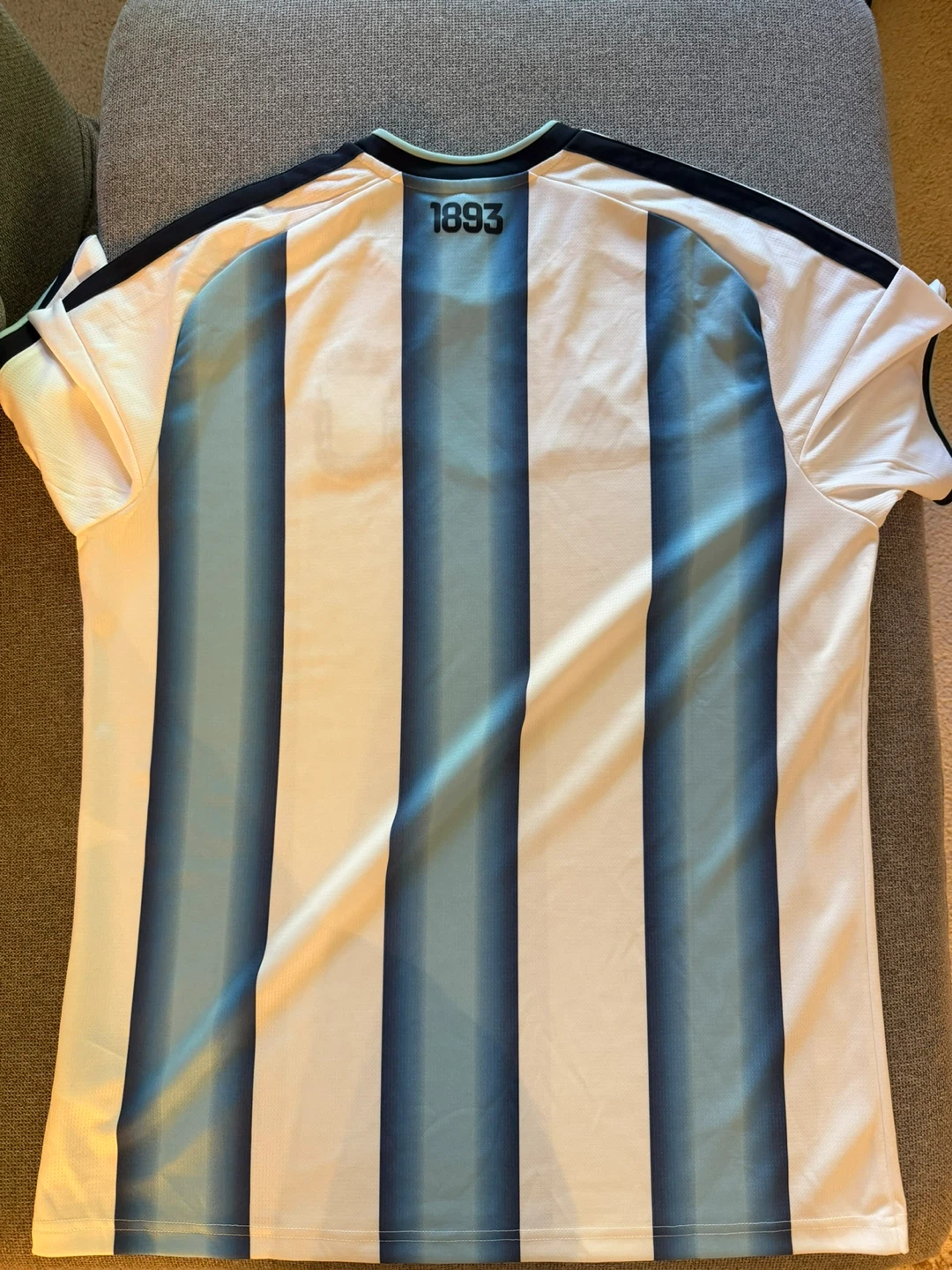 Adidas Argentina FIFA World Cup 2022 Jersey - photo 2