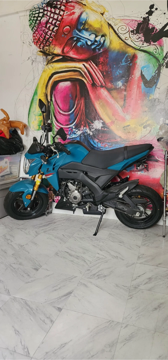 Kawasaki Z125 pro