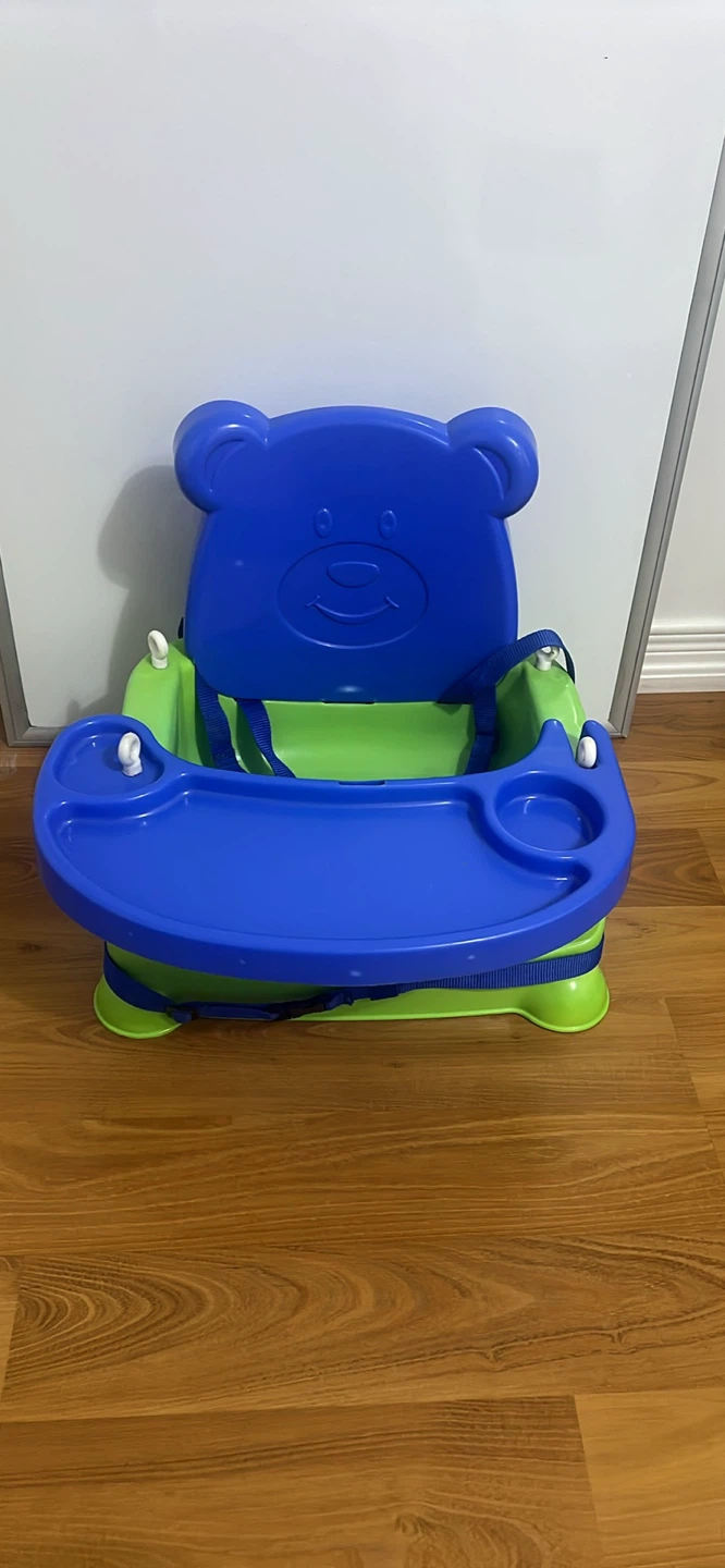 Blue and Green Bear Feeding Booster Seat