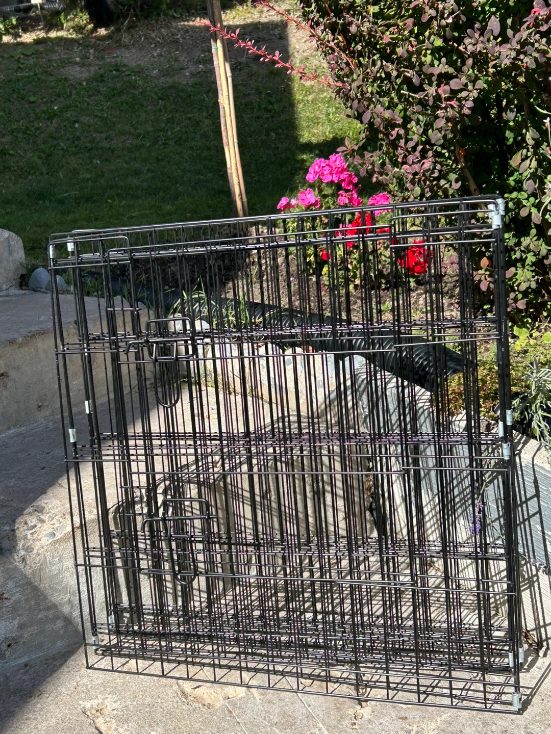 Black Metal Pet Playpen