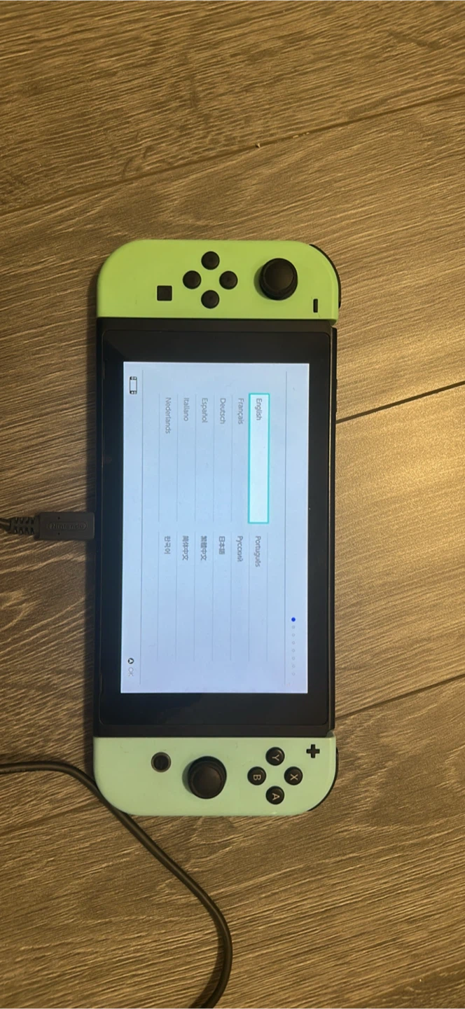 Nintendo Switch Animal Crossing Special Edition Bundle - photo 2