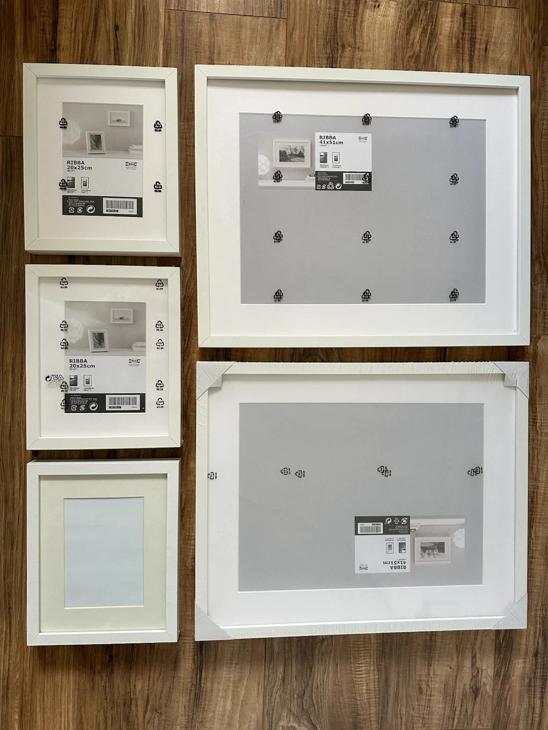 Set of 4 IKEA RIBBA Frames