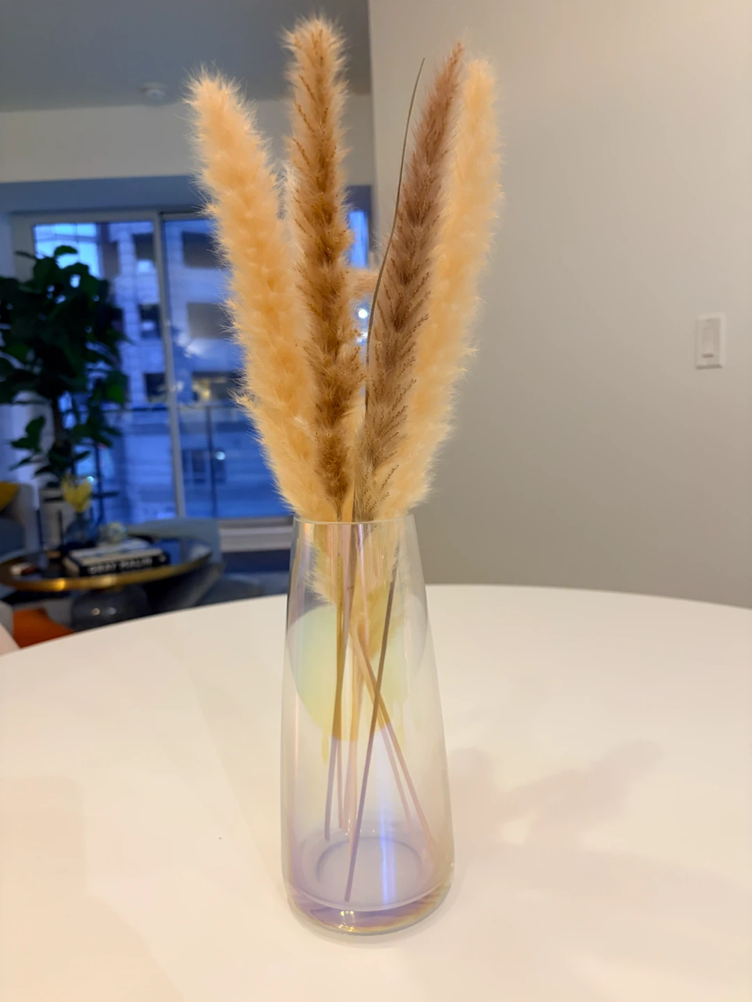 Iridescent Glass Vase with Pampas Grass – 17”