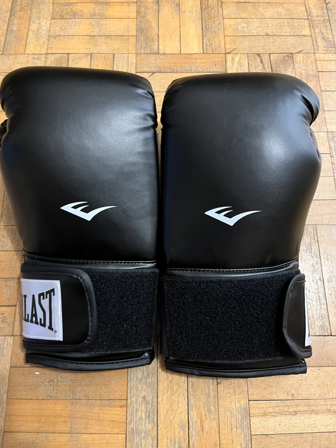 Everlast 14oz Boxing Gloves