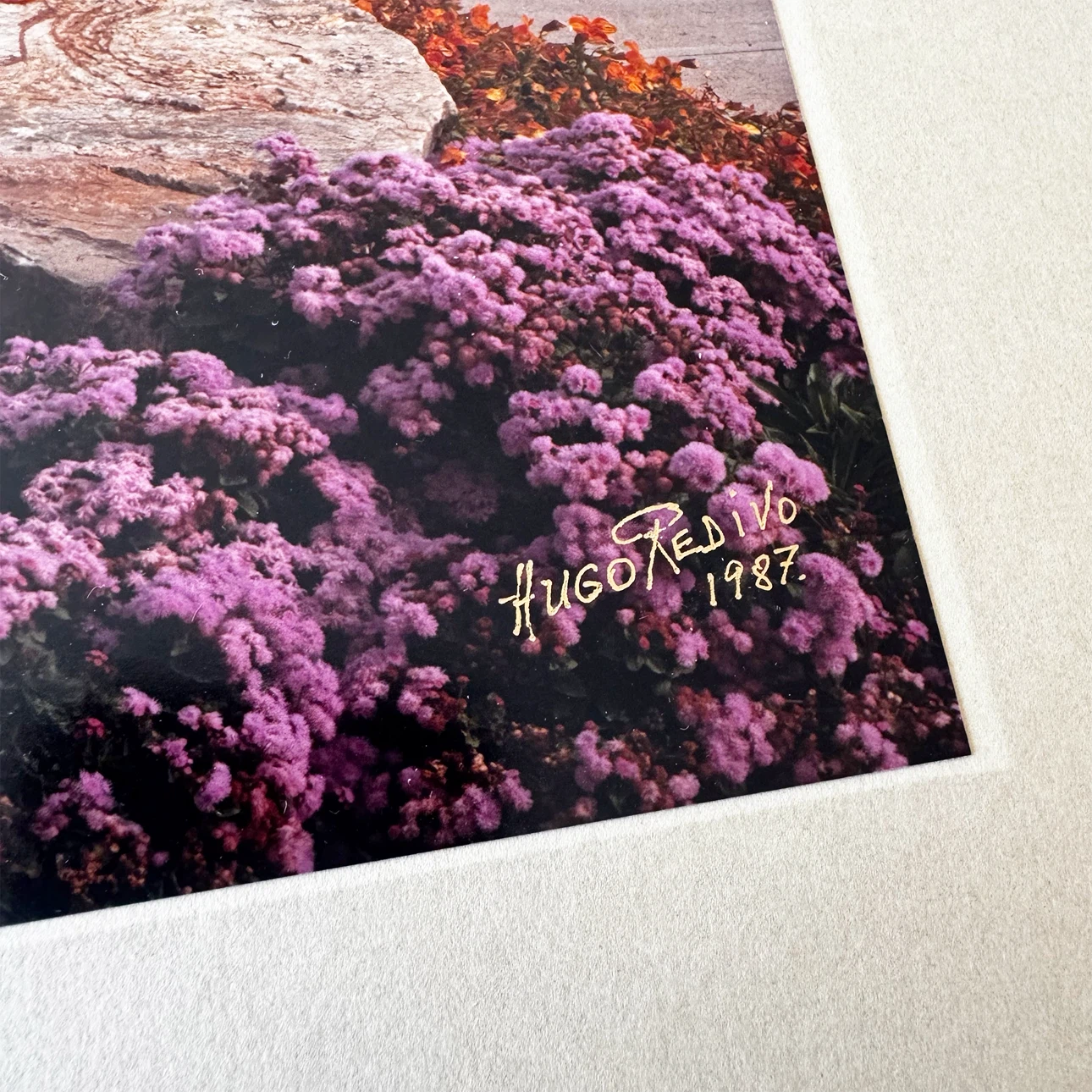 Vintage 1987 Signed Hugo Redivo Photo - photo 3