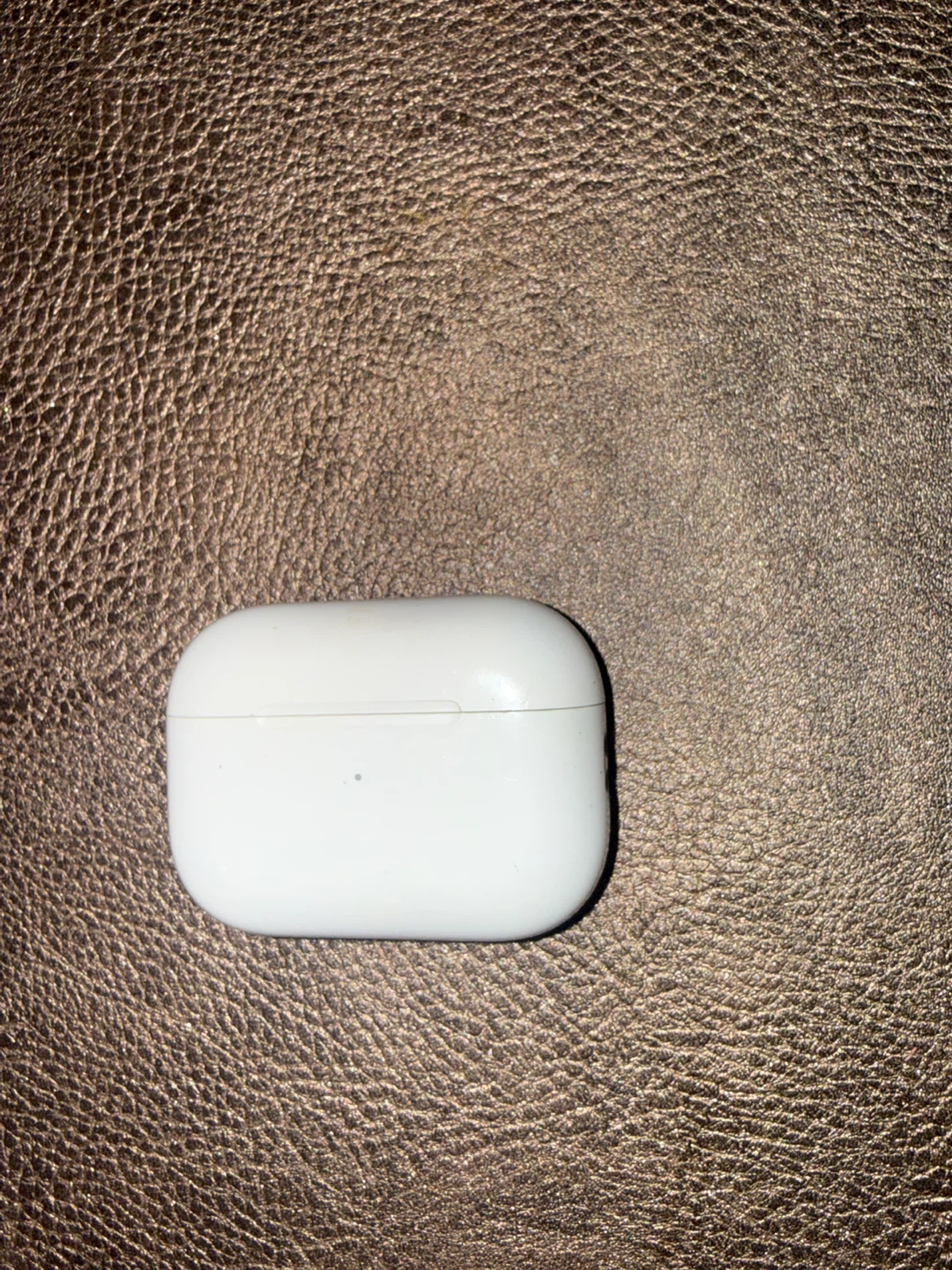 Apple AirPods Pro Charging Case