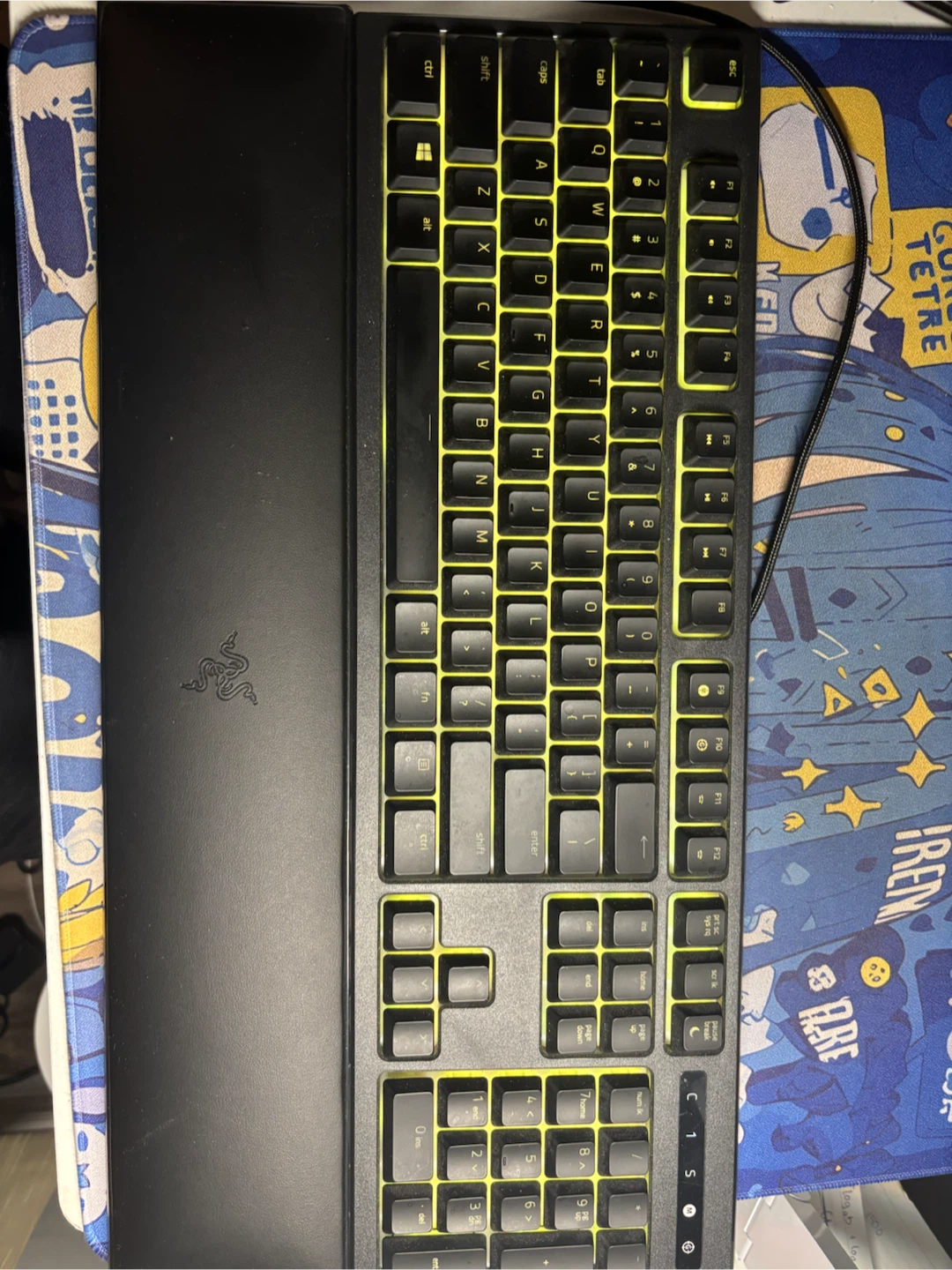 Razer Gaming Keyboard