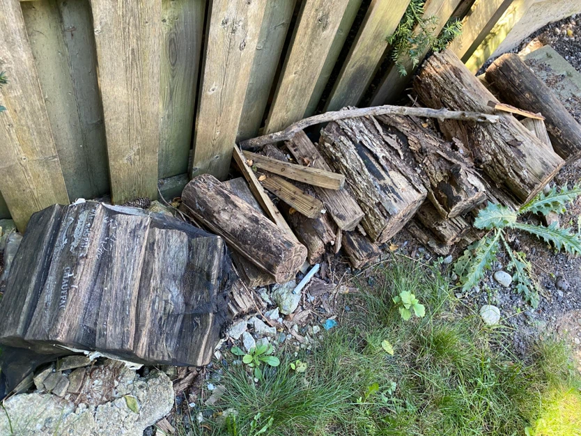Firewood bundle and mixed logs