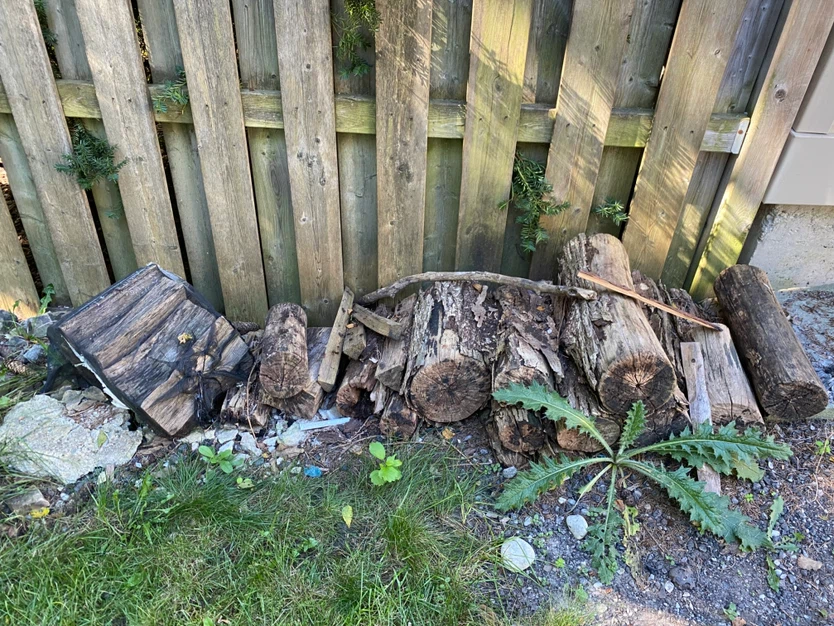 Firewood bundle and mixed logs - photo 2