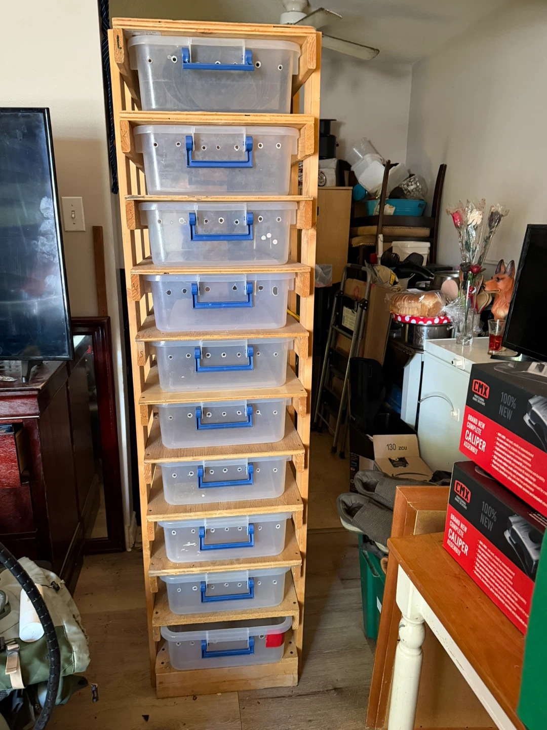 Reptile Breeding Rack with 10 Tubs