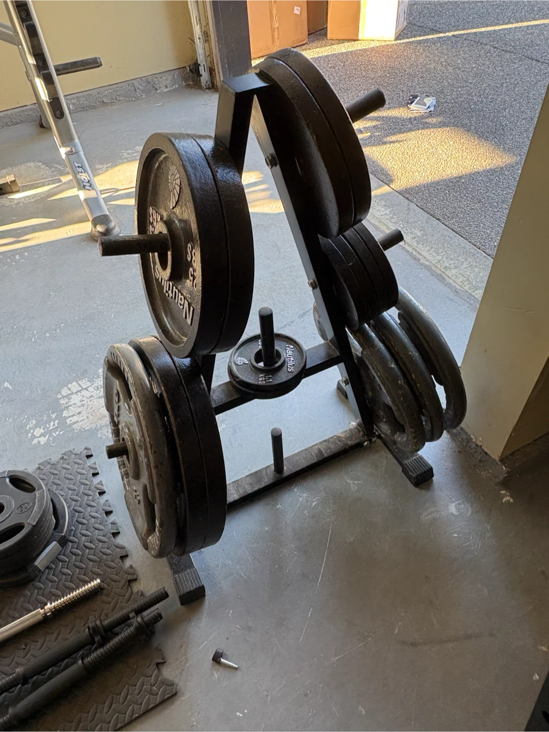 Comprehensive Home Gym Setup - photo 2