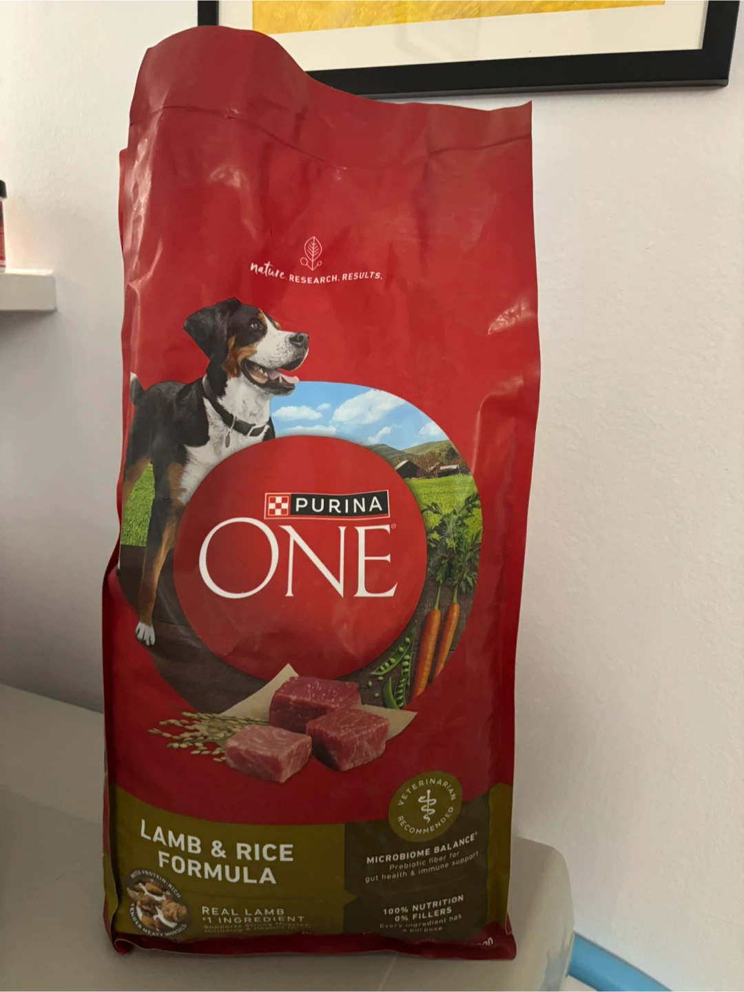 Purina ONE Lamb and Rice Formula Dog Food