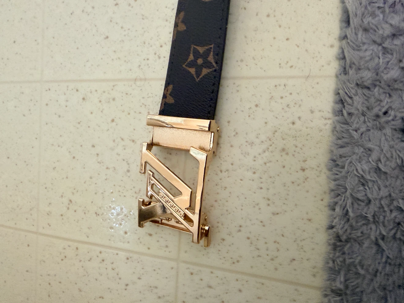 Brown Patterned Belt Louis Vuitton