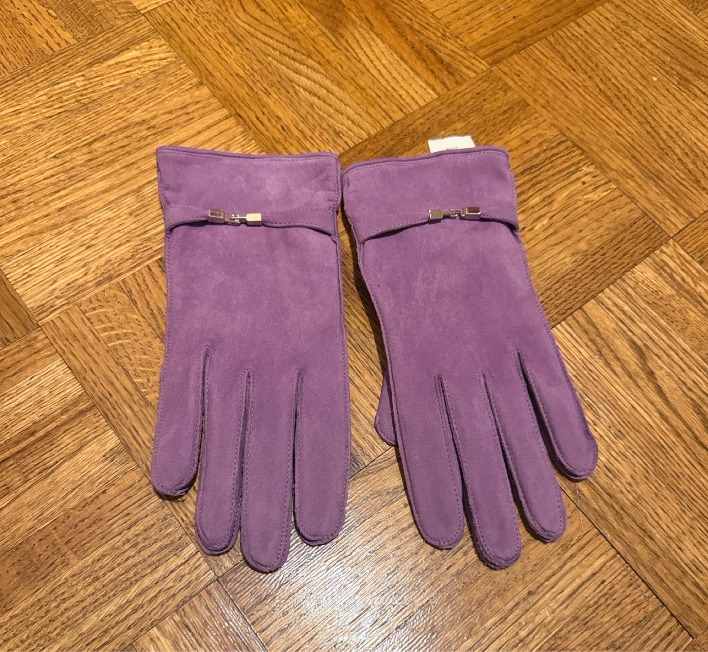 Danier Purple Genuine Leather Gloves