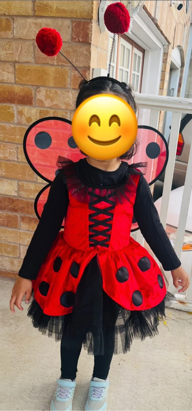 Ladybug Halloween Costume
