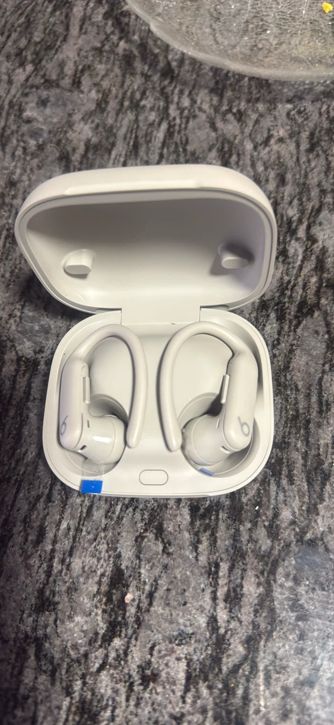 Beats Powerbeats Pro Wireless Earphones