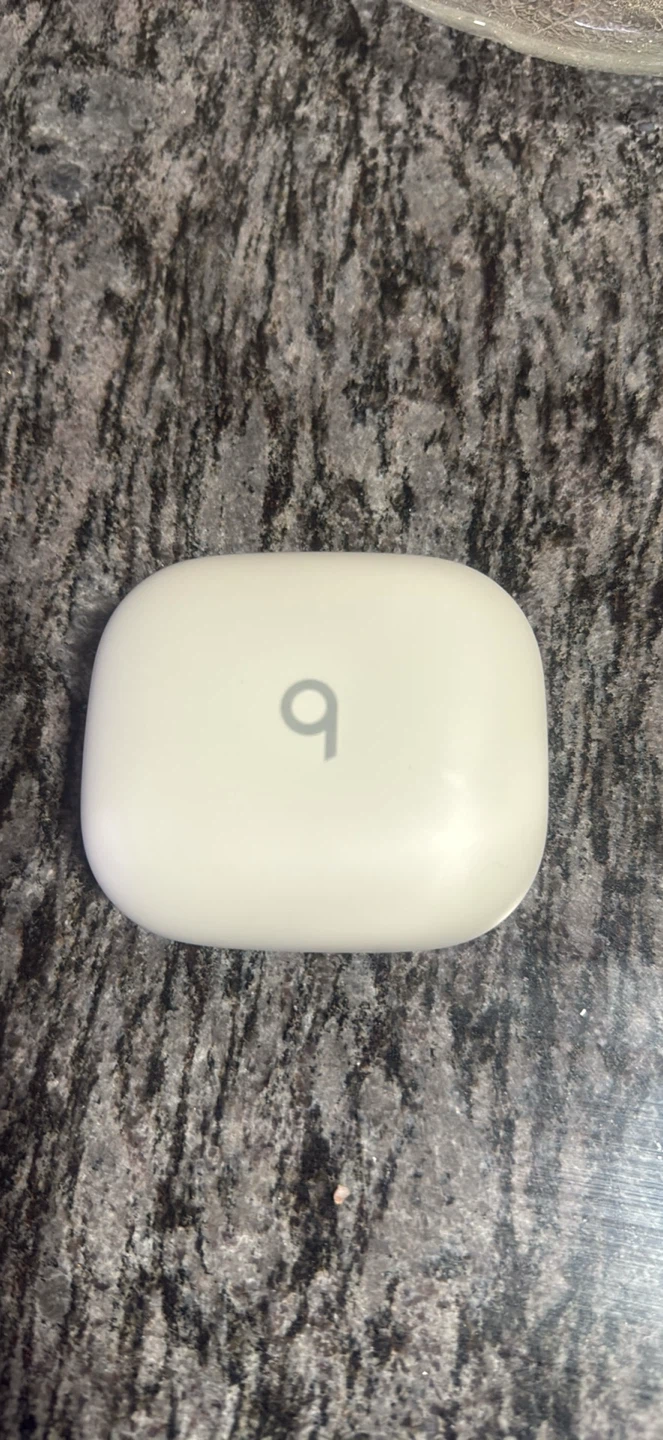 Beats Powerbeats Pro Wireless Earphones - photo 3