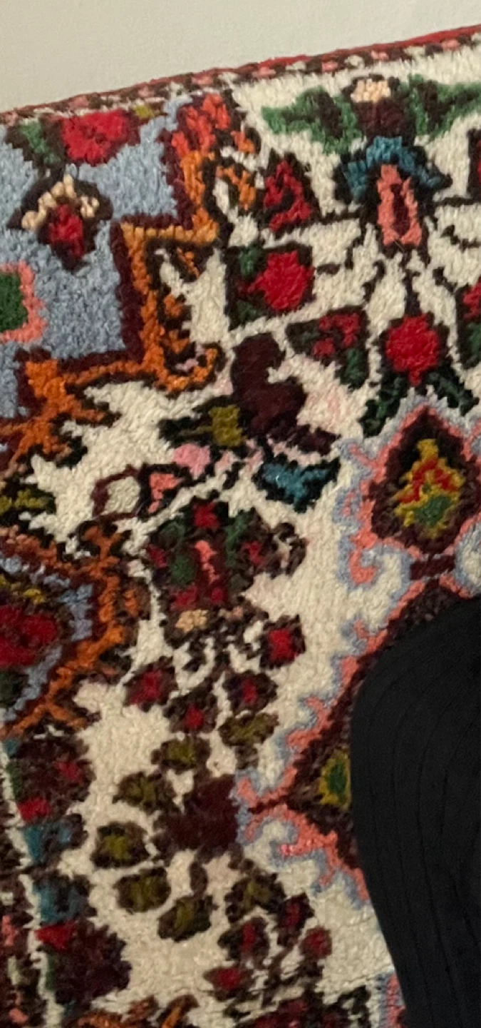 Brand New (unused) Handmade Authentic Persian Rug (made in Iran) - photo 3