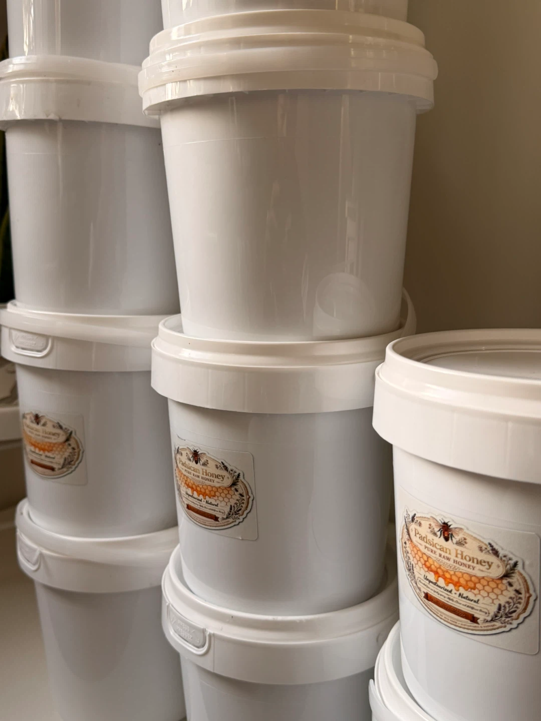 Padiscan Pure Raw Honey - 3kg Pail - photo 2