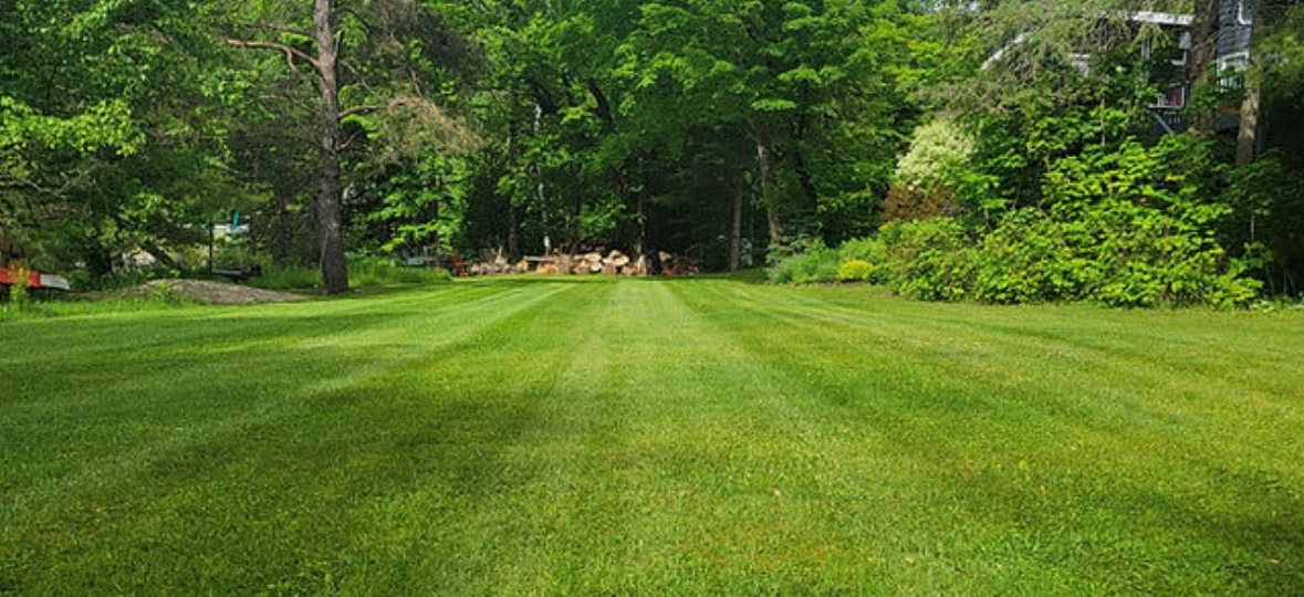 Landscaping/Snow removal