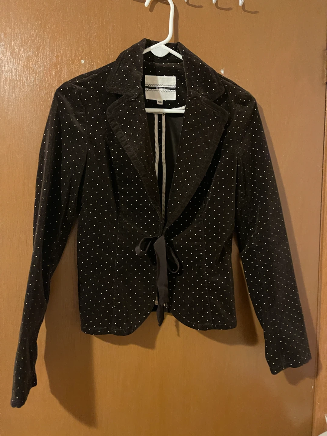 Cleo Polka Dot Velvet Blazer