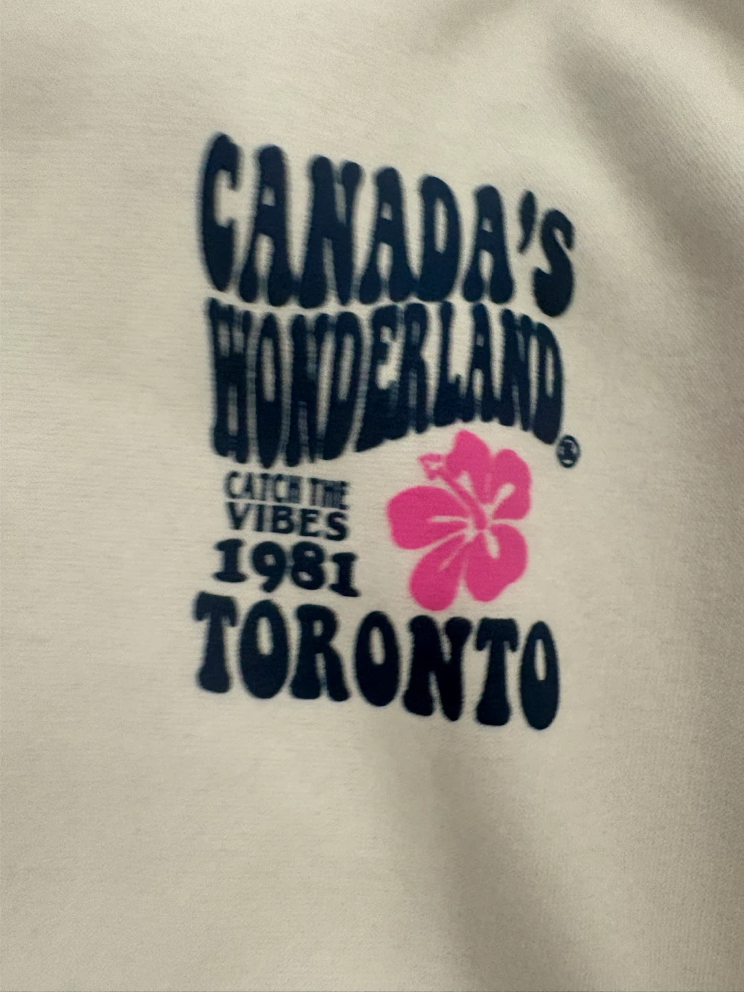 Canada's Wonderland White Hoodie - photo 4
