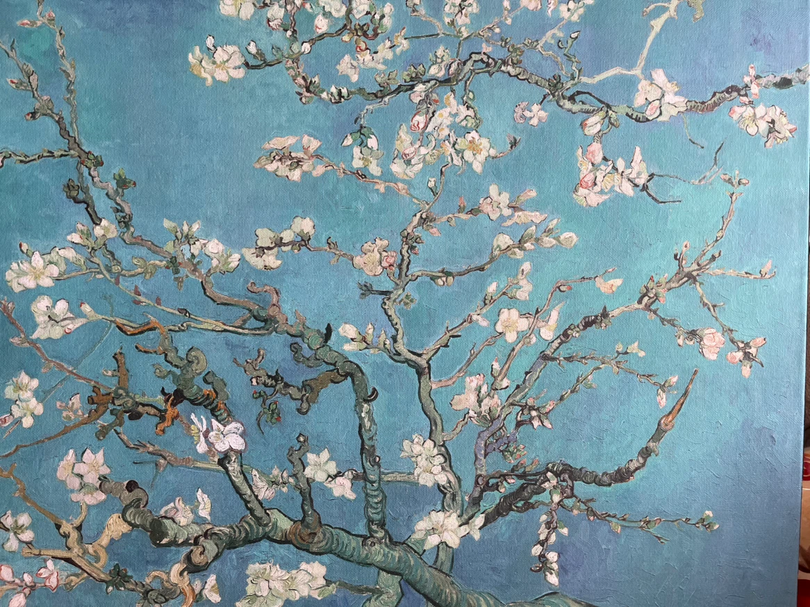 Art- Wall Art- Van Gogh Almond Blossoms Canvas Print