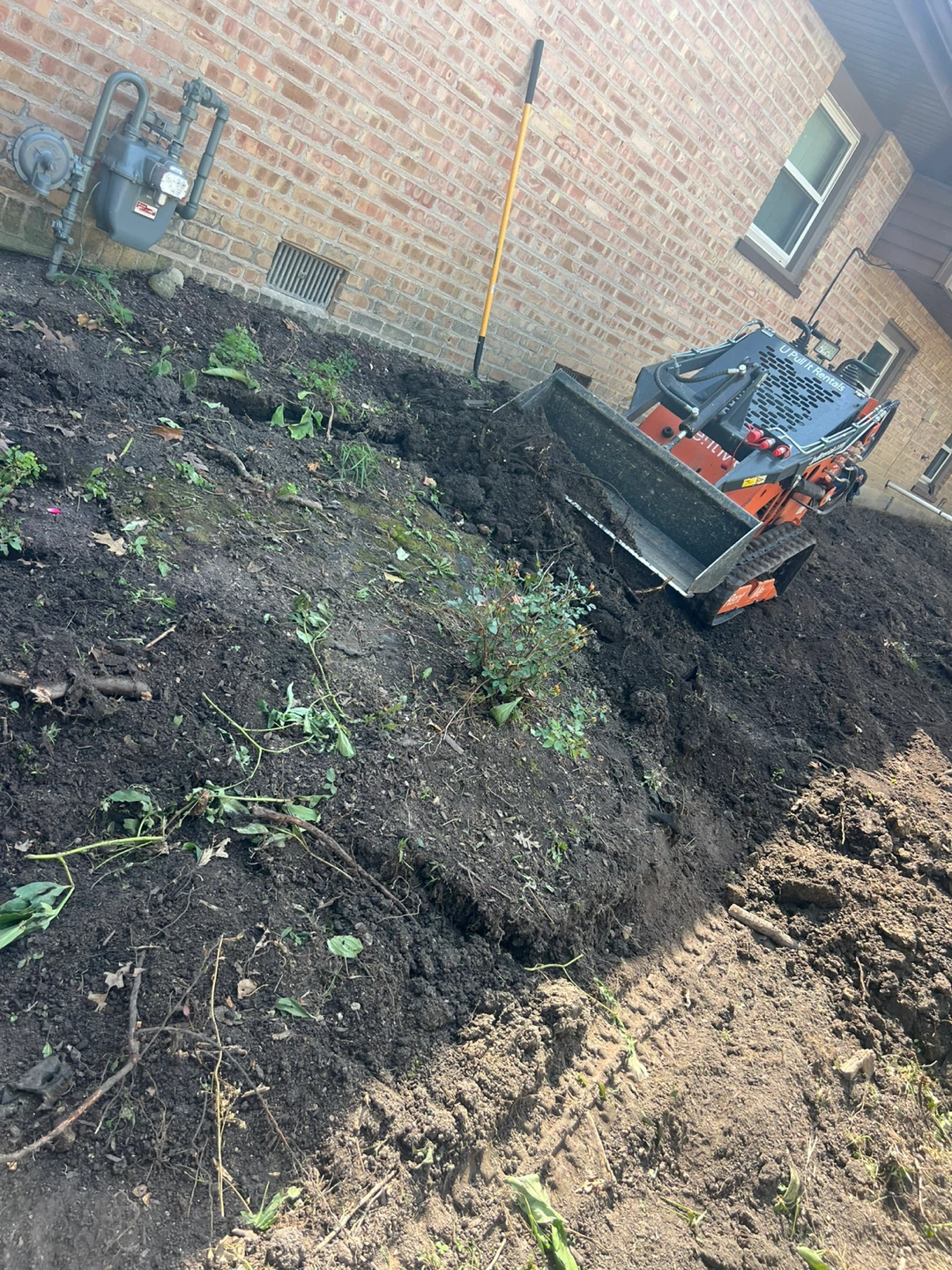 Garden cleaning and landscaping service - photo 4