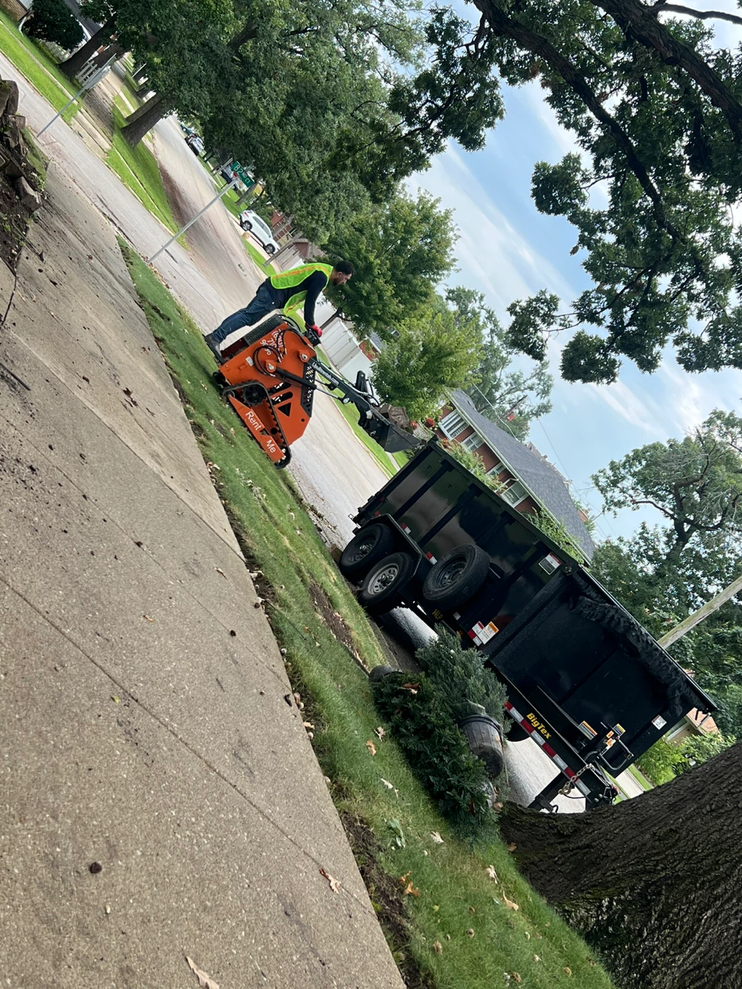 Garden cleaning and landscaping service - photo 5