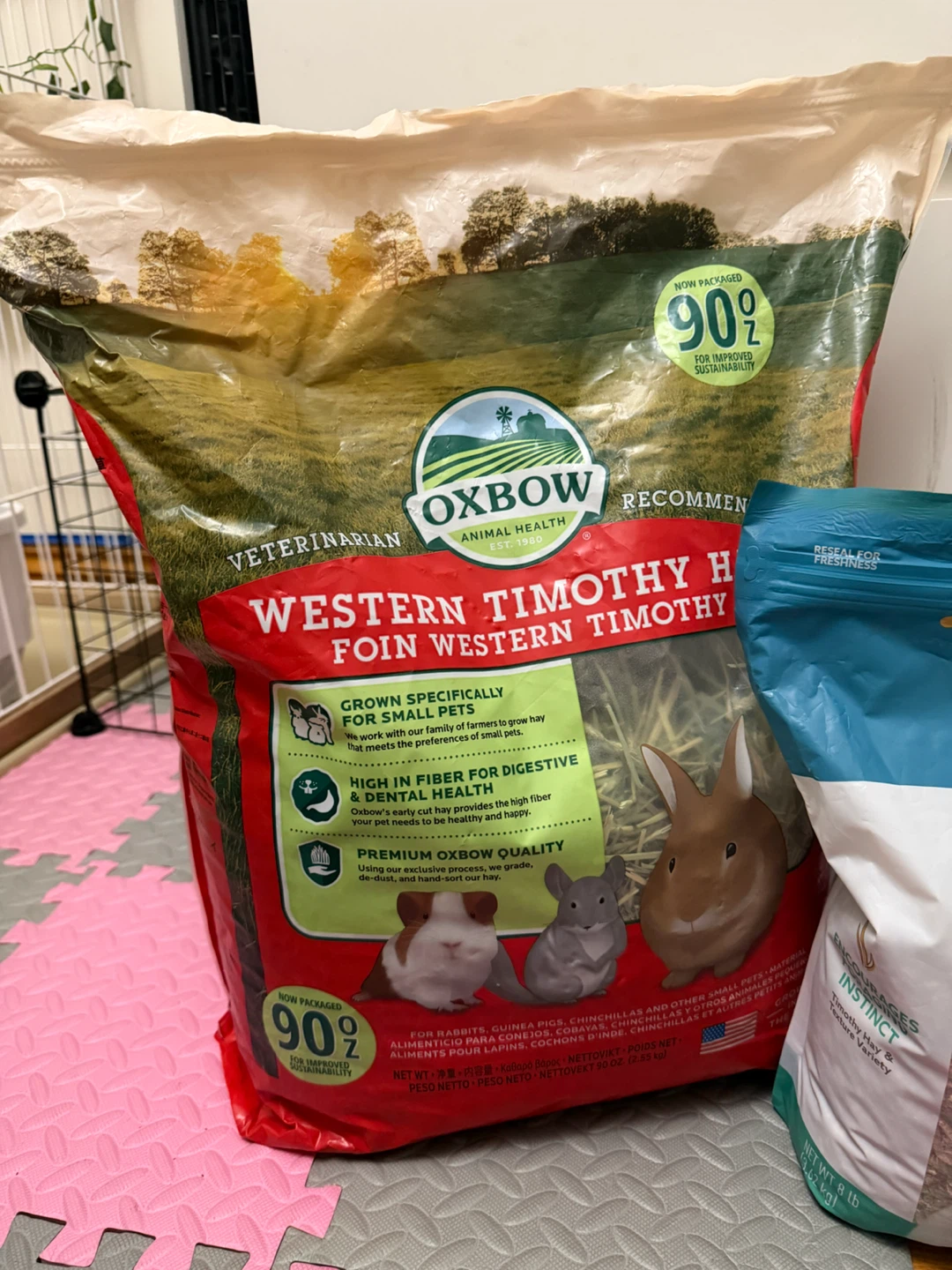 Rabbit Food and Hay - photo 5