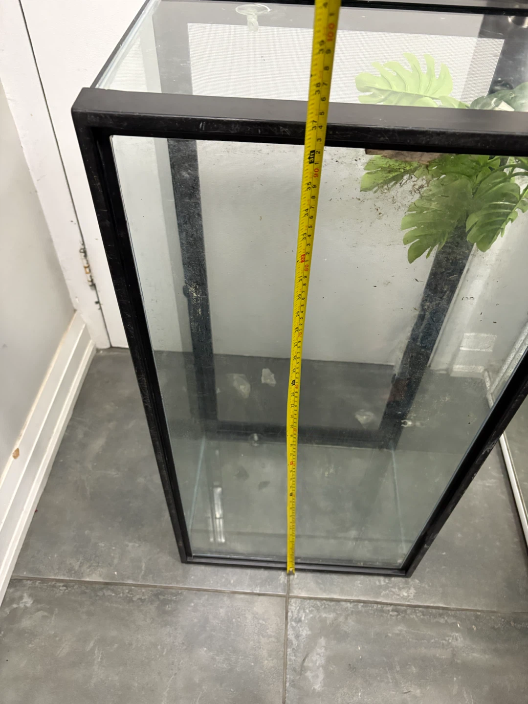Glass Terrarium 13x18x3ft wide