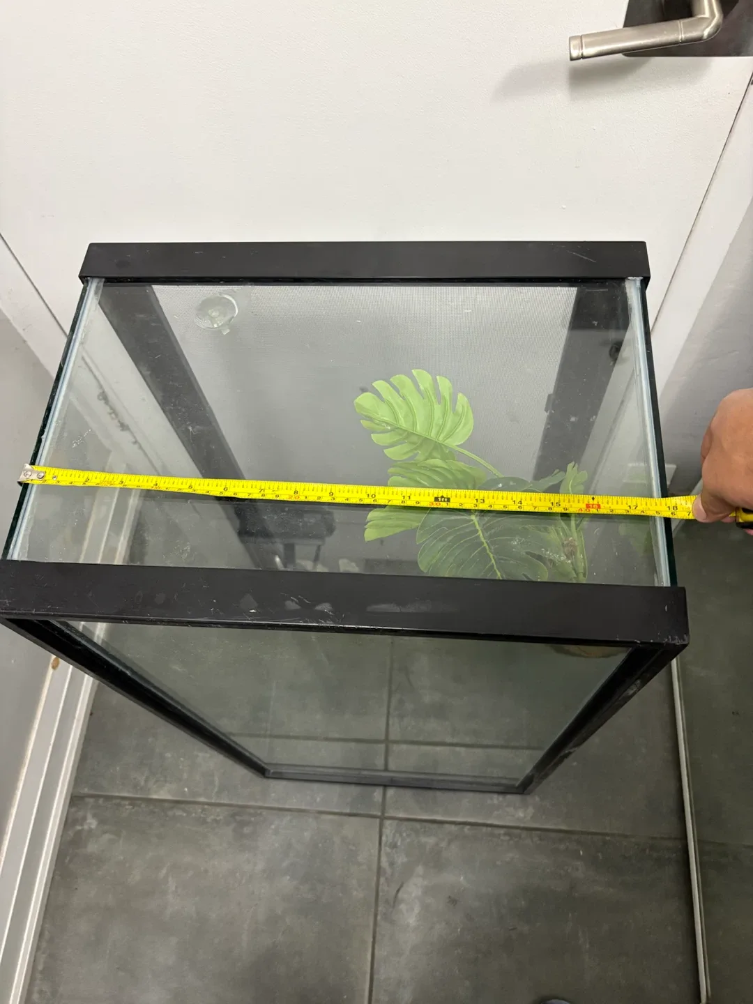 Glass Terrarium 13x18x3ft wide - photo 2