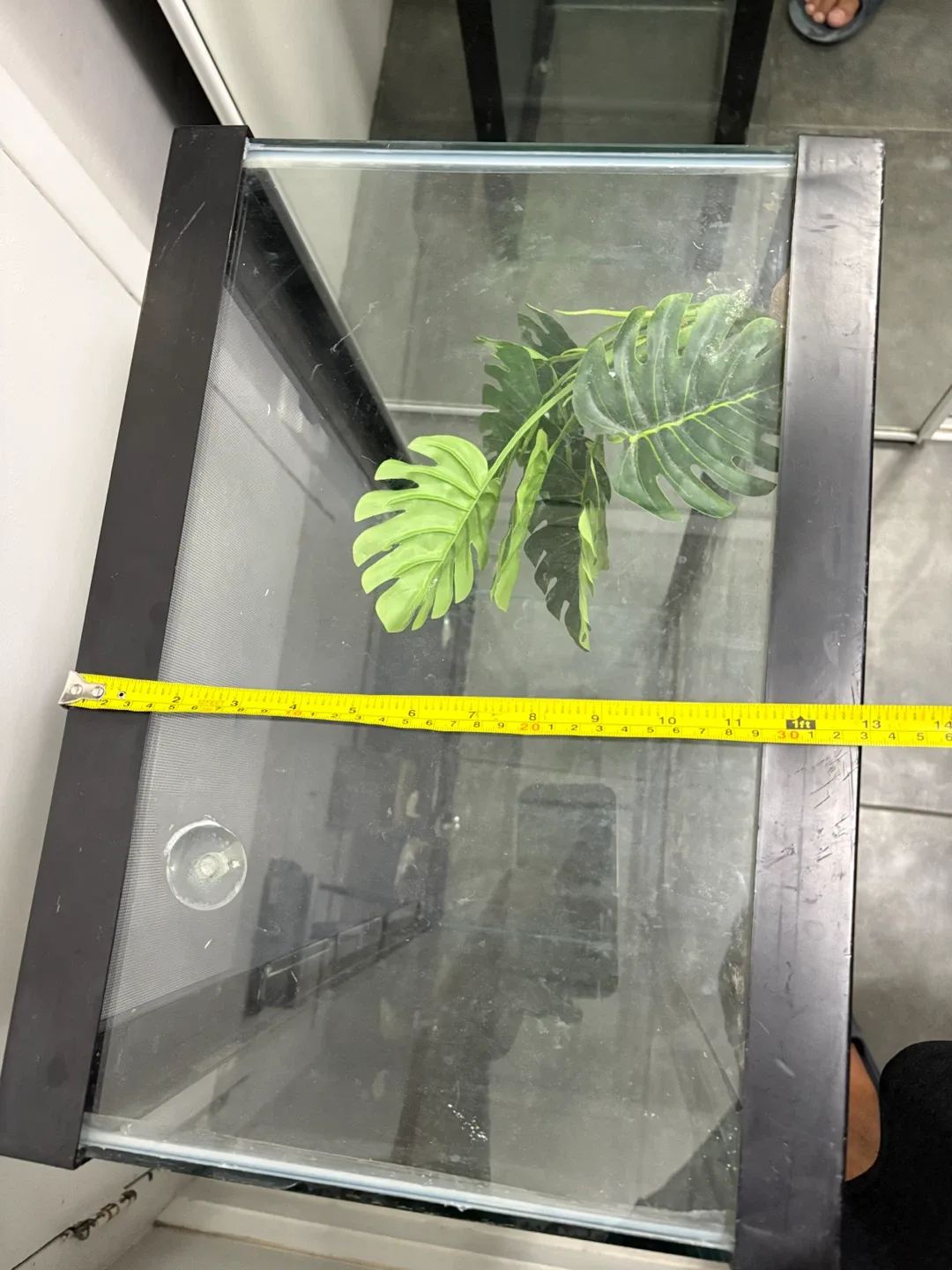 Glass Terrarium 13x18x3ft wide - photo 5