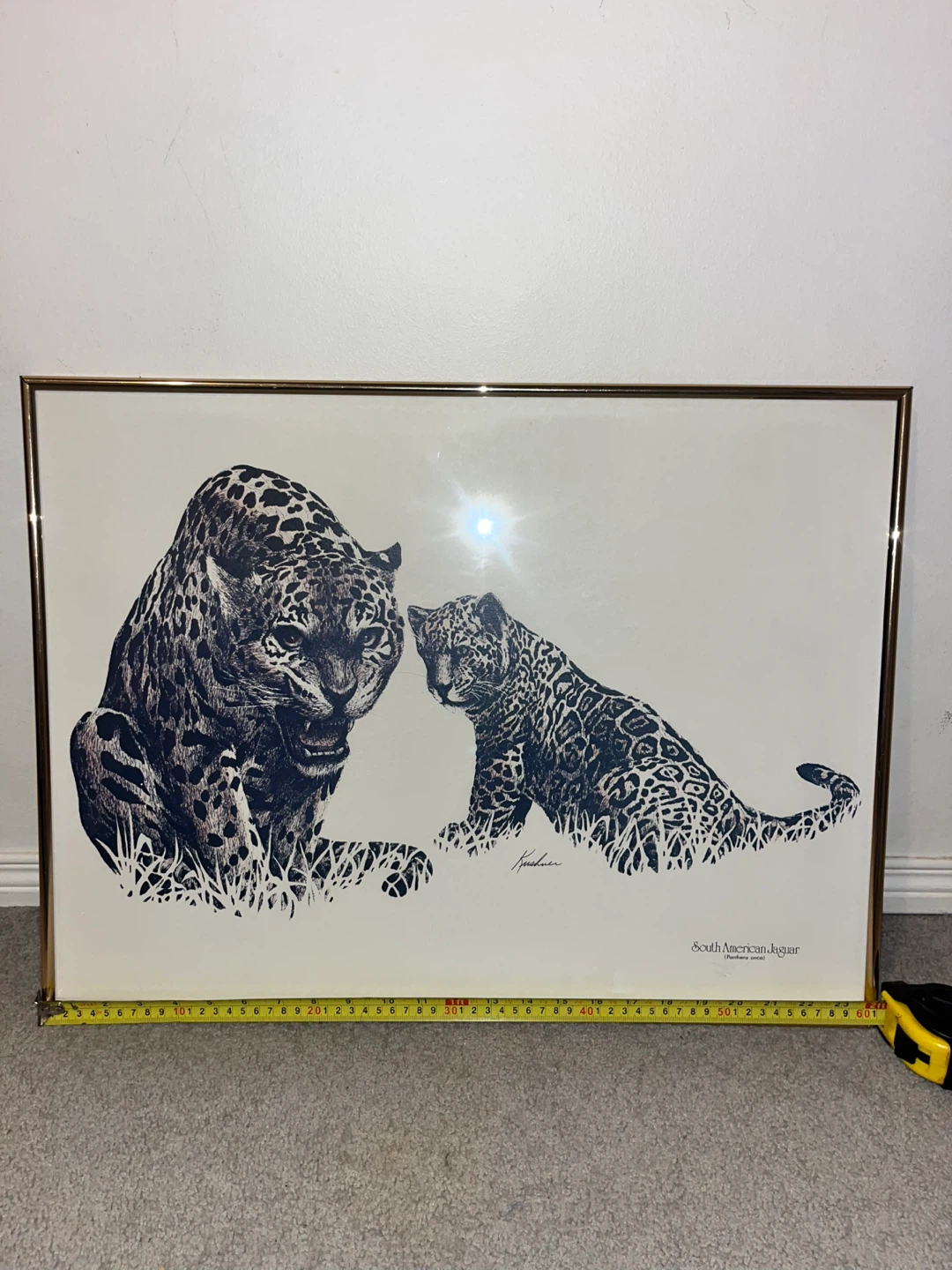 Kushner South American Jaguar Framed Print