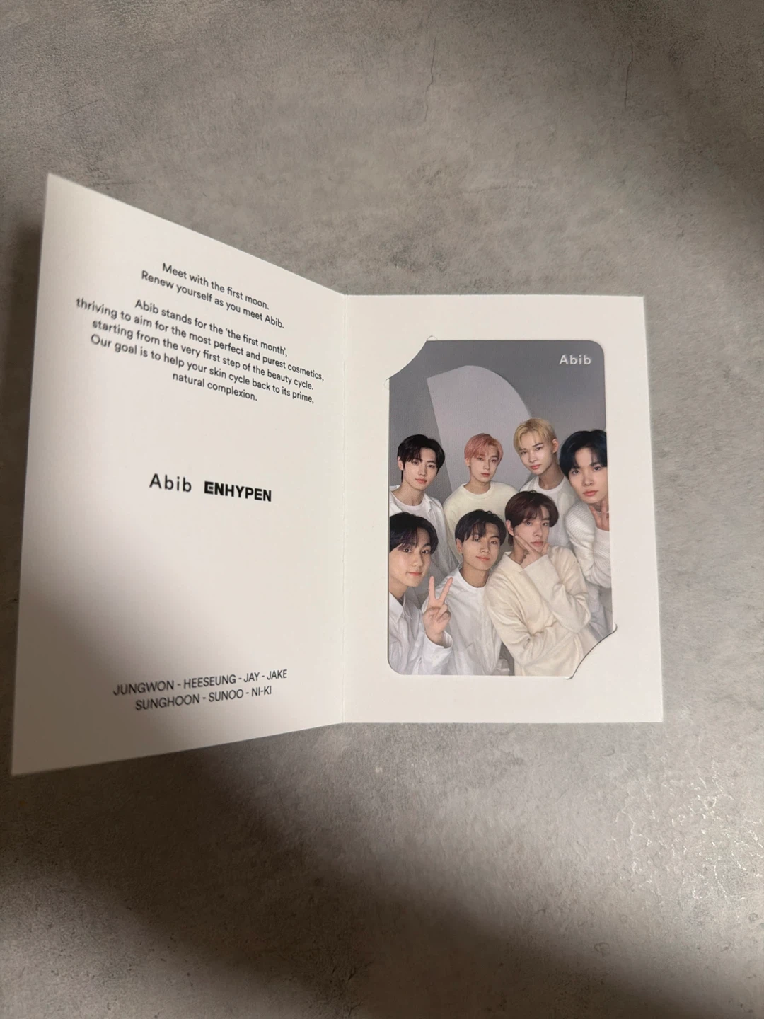 Abib Enhypen Photocard Set