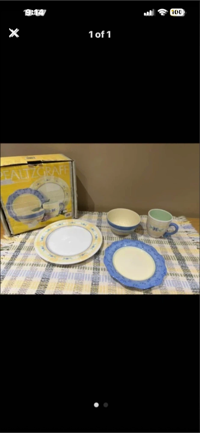 Set of 4 Dinnerware Set new