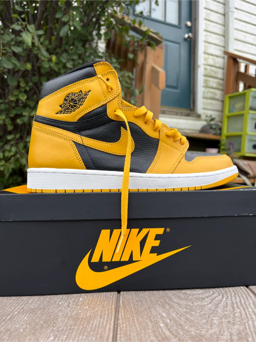 Nike Air Jordan 1  High Pollen