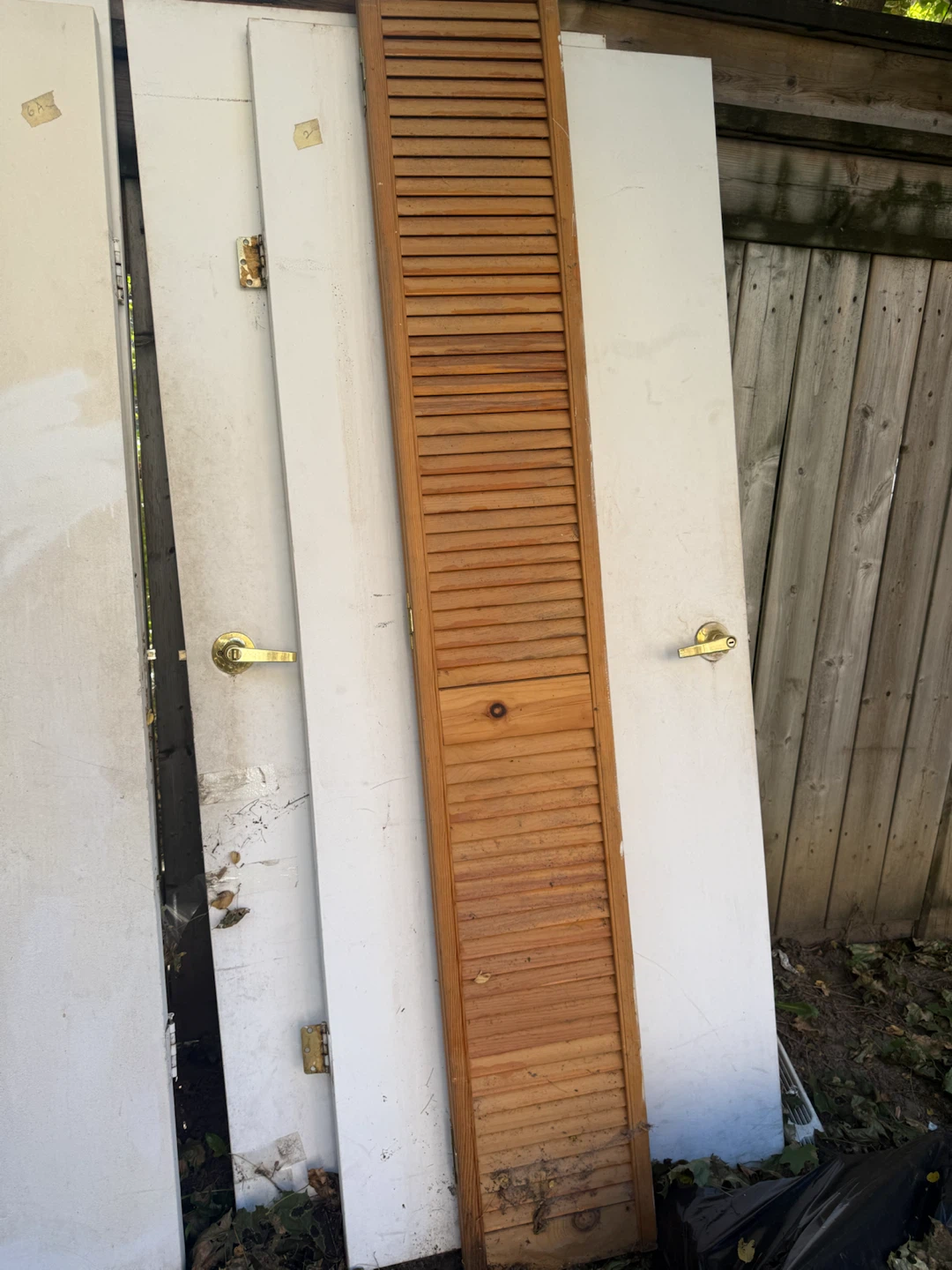 Assorted Interior Doors and Louvered Closet Door - photo 2