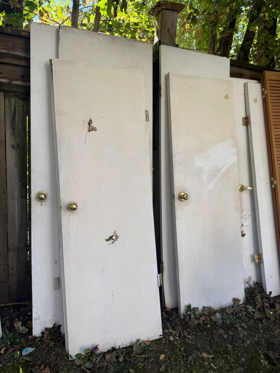 Assorted Interior Doors and Louvered Closet Door - photo 3