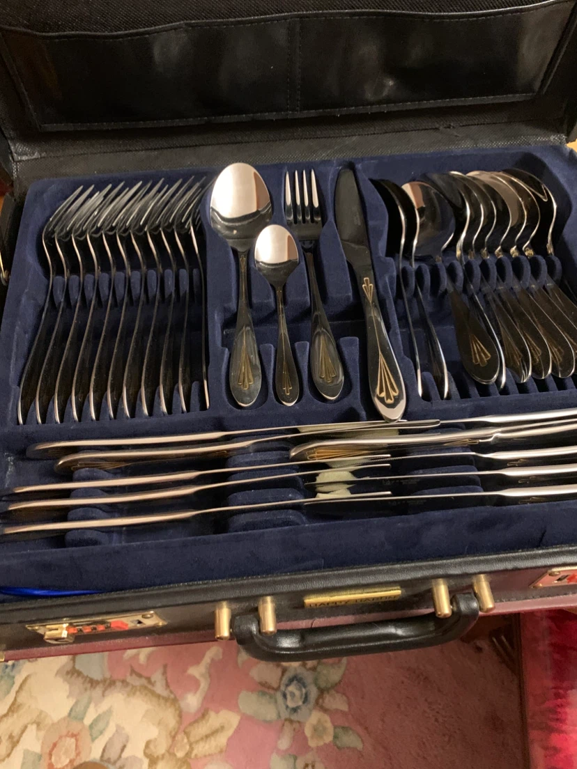 Stainless Steel Cutlery Set in Carry Case