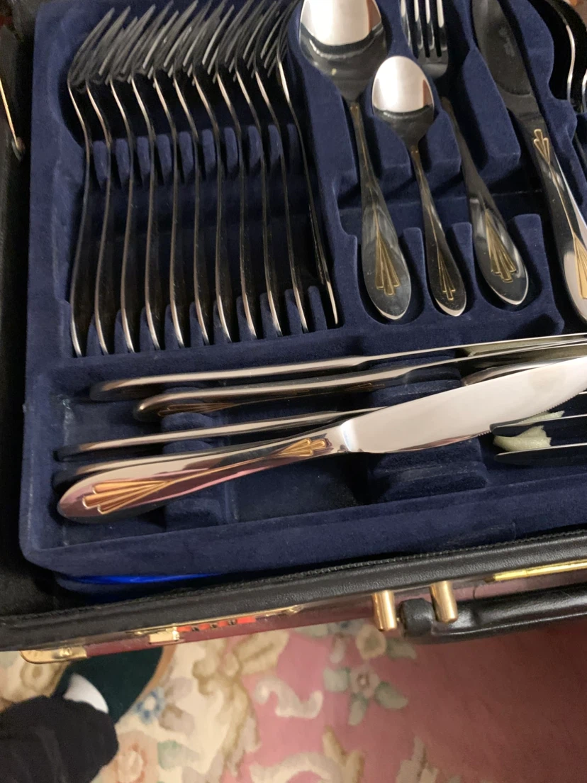 Stainless Steel Cutlery Set in Carry Case - photo 3