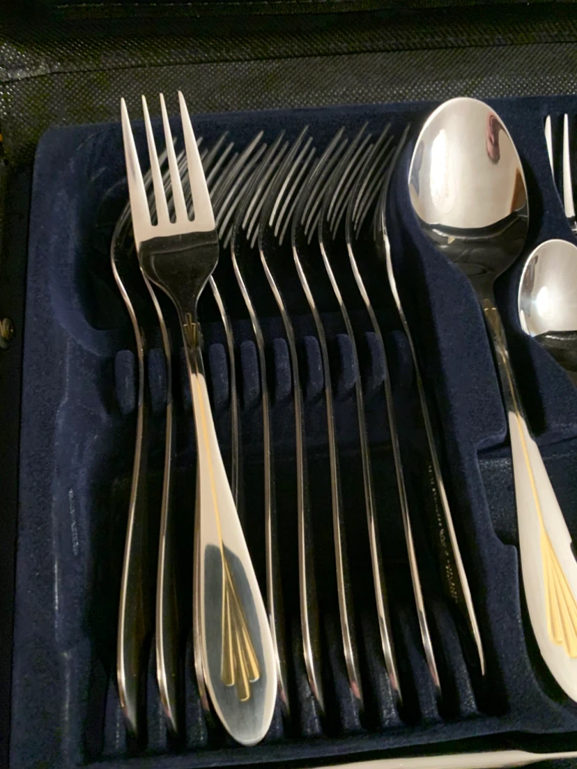 Stainless Steel Cutlery Set in Carry Case - photo 4