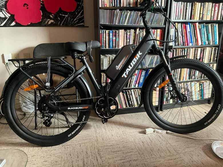 Electric bike