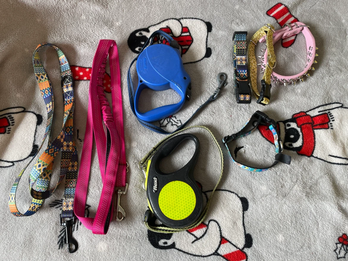 Small Dog Leashes & Collars Lot