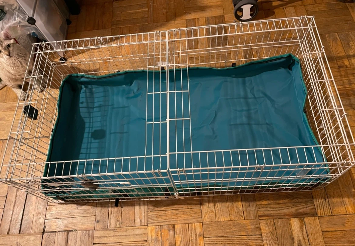 Guinea Pig Cage